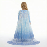 Ice Queen Frosted Snowflakes Gown