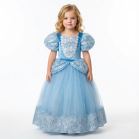 Cinderella Velvet Sequin Gown