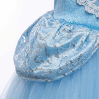 Cinderella Velvet Sequin Gown