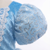 Cinderella Velvet Sequin Gown