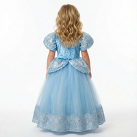 Cinderella Velvet Sequin Gown