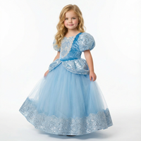 Cinderella Velvet Sequin Gown