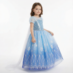 Ice Queen Winter Kingdom Gown