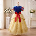 Castle Cape Dress — back display without cape