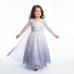 Ice Queen Winter Spirit Gown