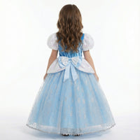 Cinderella Midnight Ball Gown