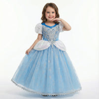Cinderella Midnight Ball Gown