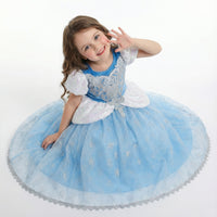 Cinderella Midnight Ball Gown