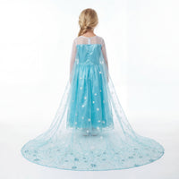Ice Queen Winter Palace Gown