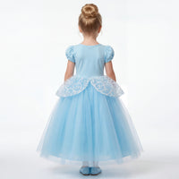 Cinderella Glass Slipper Gown