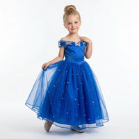 Cinderella Crystal Butterfly Ball Gown
