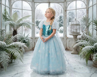 Nordic Princess Coronation Gown