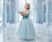 Nordic Princess Coronation Gown