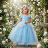 Cinderella Glass Slipper Gown